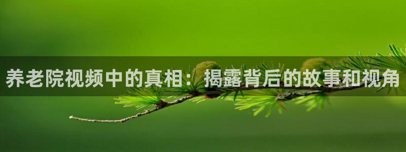 韦德1946源自英国