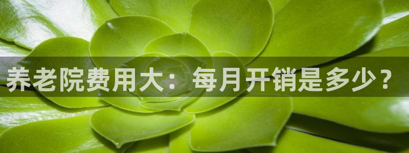 韦德1946网址