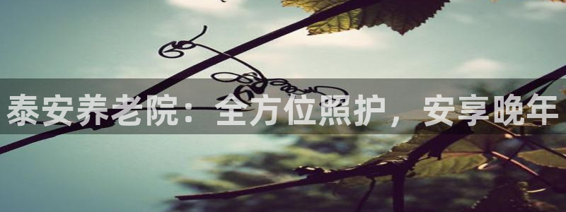 韦德游戏注册需要什么