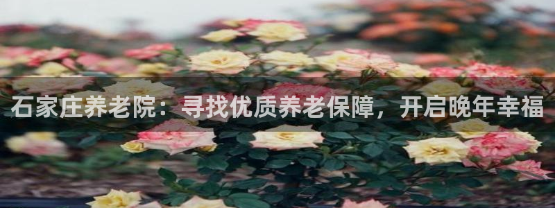 韦德官网注册推荐网站下载