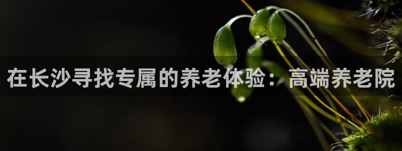 韦德1946手机版