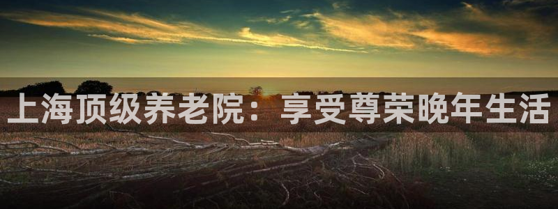 韦德游戏是什么
