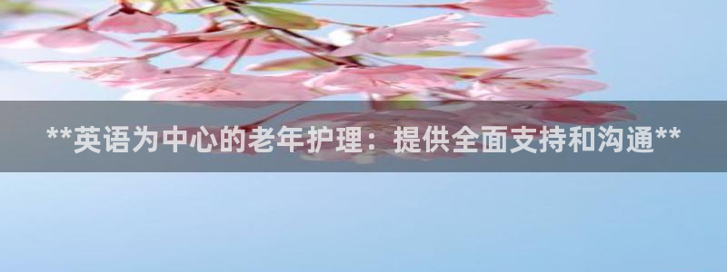 韦德游戏是什么