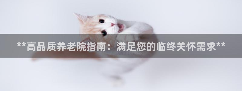 韦德属于什么