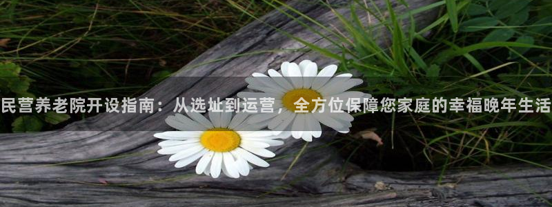 韦德 网站
