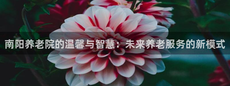 韦德注册手机版下载