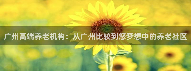 韦德1946bv1946