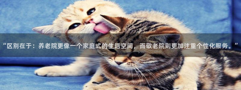 韦德1946游戏