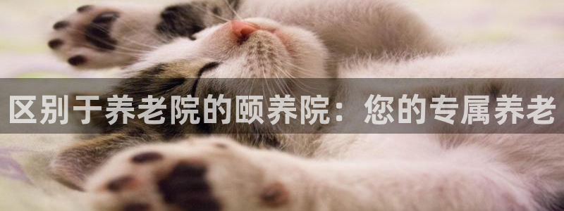 韦德1946网址