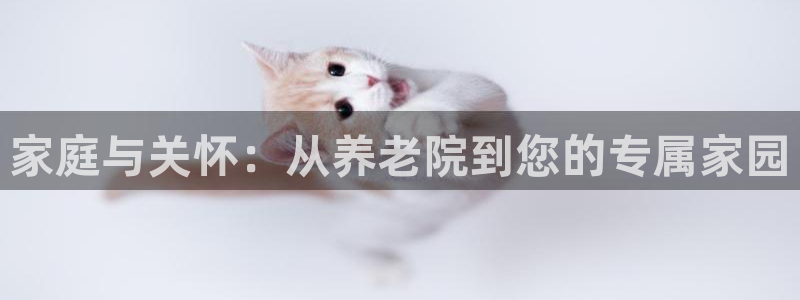韦德1946bet