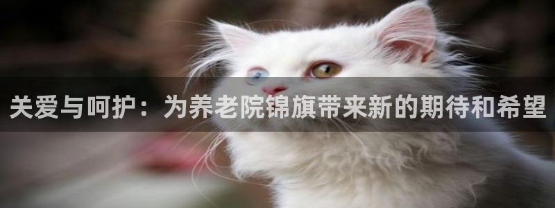 韦德是哪个