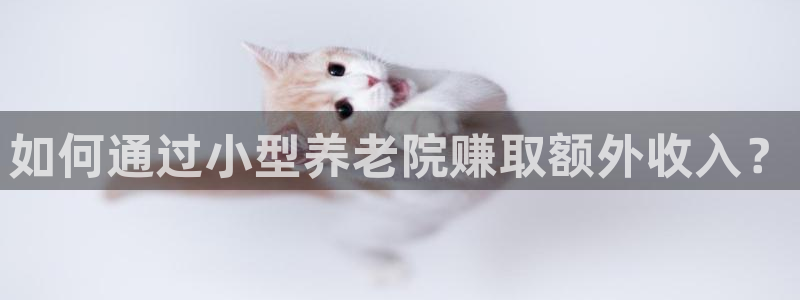 韦德网址是多少