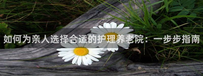 韦德网址是多少