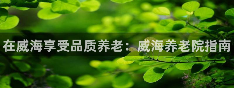 韦德网址是多少