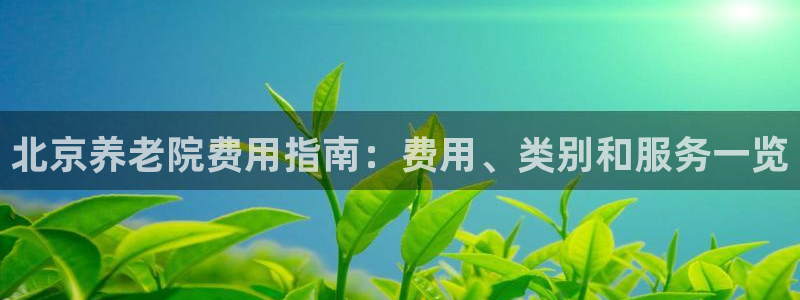 韦德官网注册推荐网站是什么