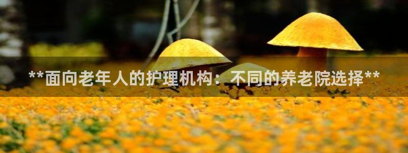 韦德官网注册推荐网站是什么