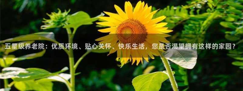 1946韦德找回密码