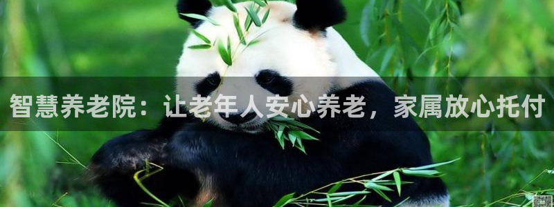 韦德1946始于英国