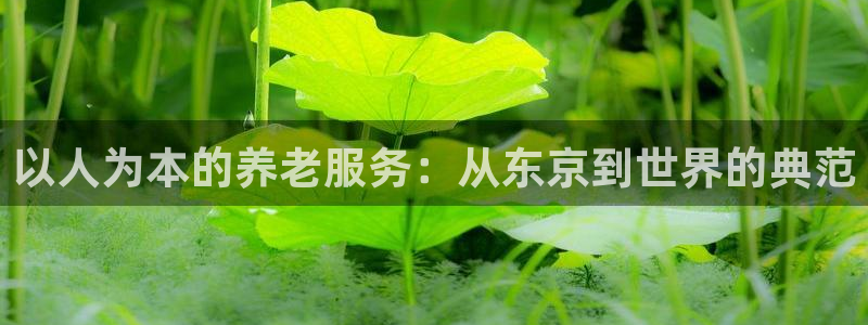 韦德观战总决赛G3