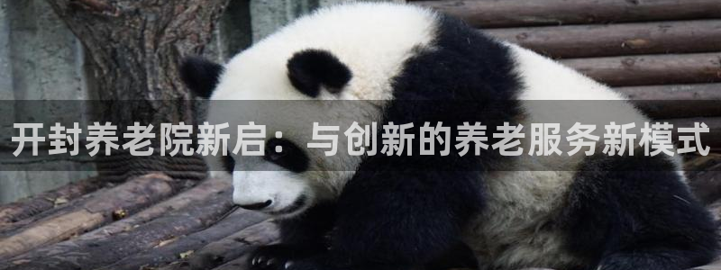 韦德1946体育官方入口