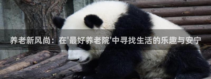 韦德游戏是什么