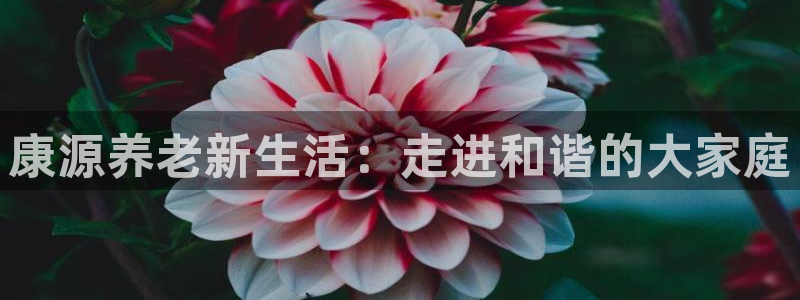 韦德app官方网站