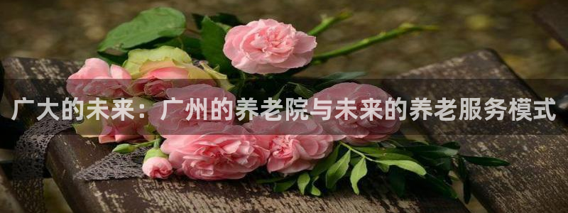 韦德官网注册推荐网站是什么