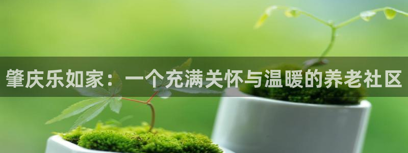 韦德1946中文官网