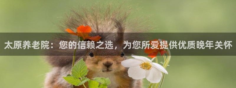 韦德1946官网最新版