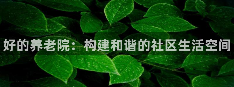 韦德游戏大厅