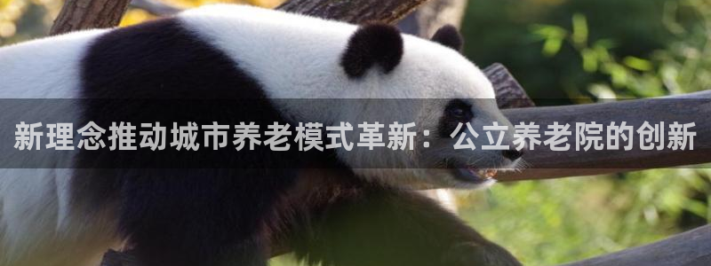 韦德属于什么