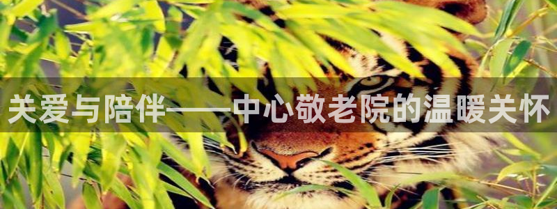 韦德国际1946官网
