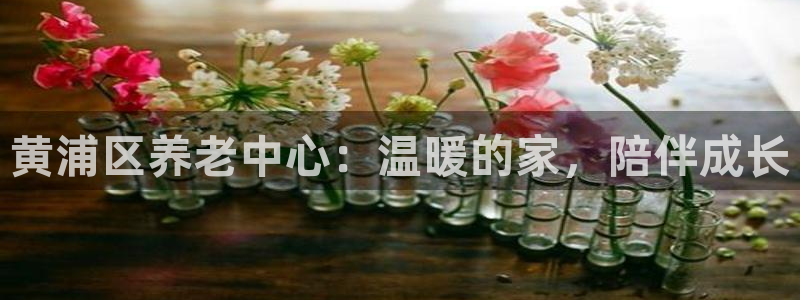 韦德注册手机版下载