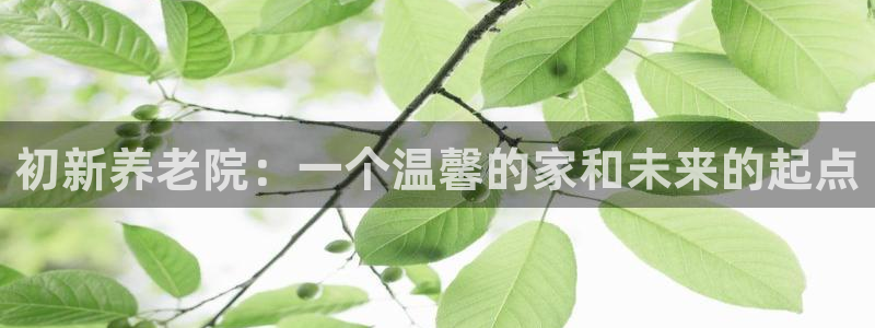 韦德1946手机版