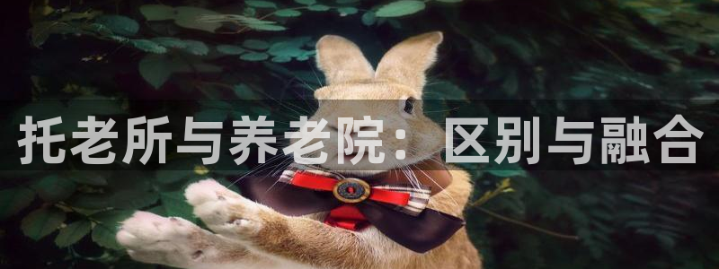 韦德 网站