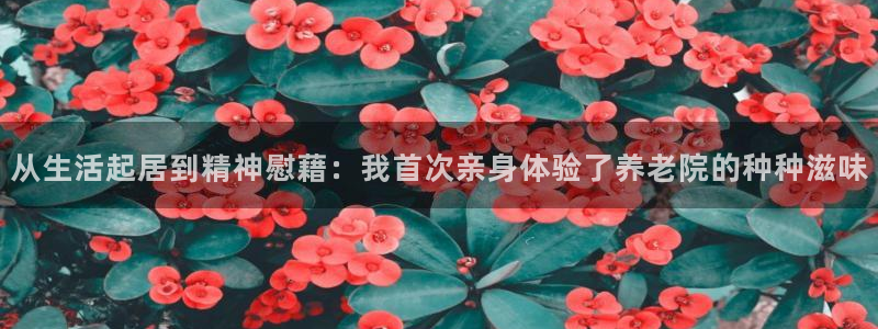 韦德网址