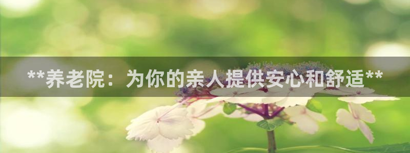 韦德1946下载