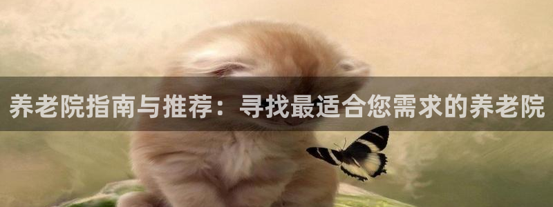 韦德1946体育官方入口