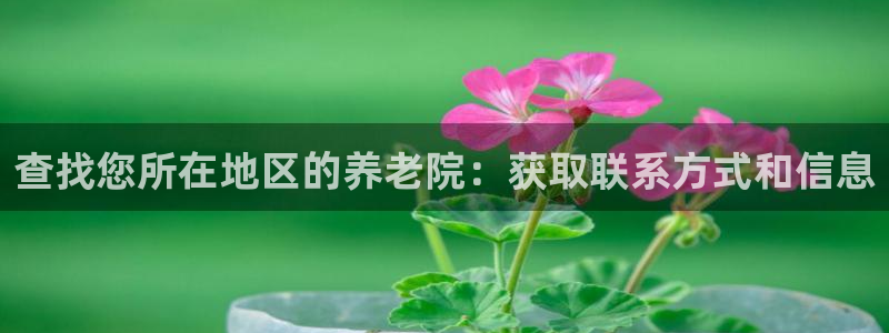 韦德1946国际