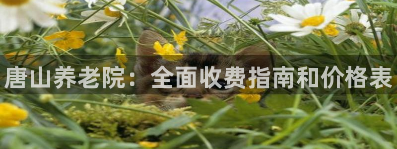 韦德下载