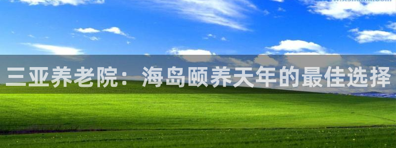 韦德1946手机