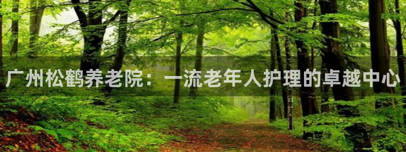 韦德2014