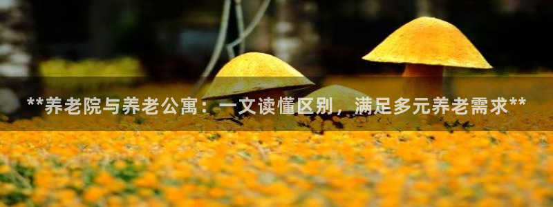 韦德官网在线
