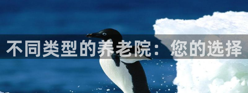 韦德国际体育