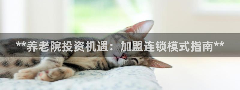 韦德网址
