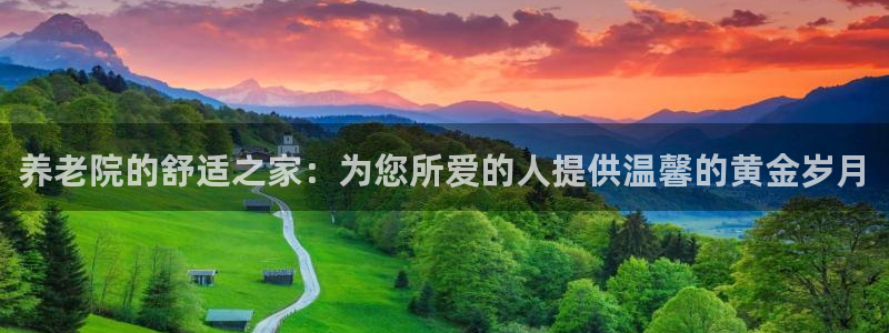 韦德1567
