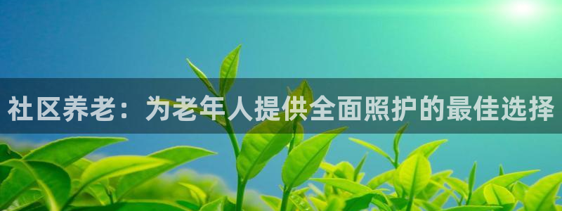 韦德1946游戏