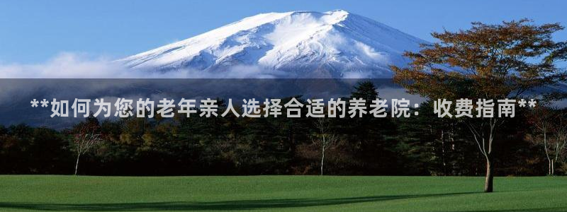 韦德观战总决赛G3