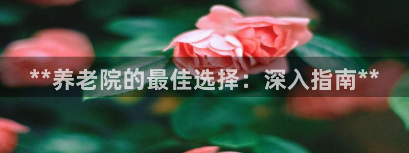 韦德2014