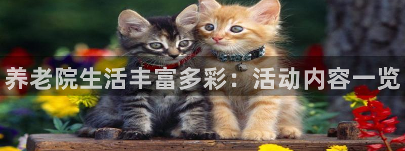 韦德官方网址大全